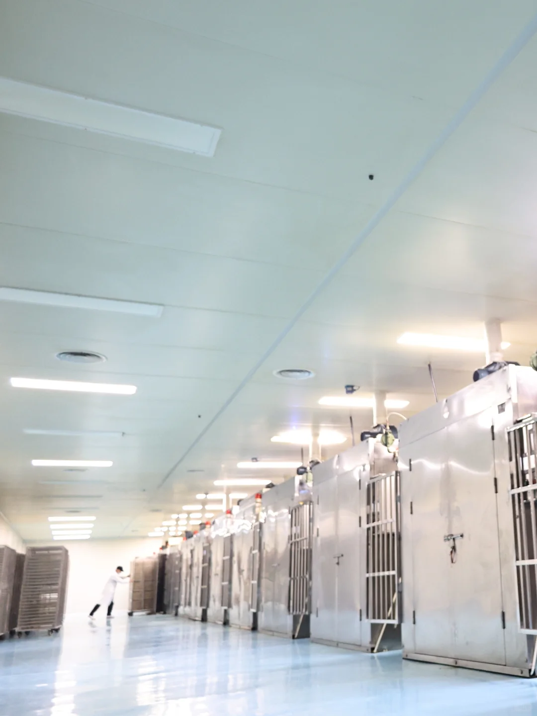 谁懂？！不是所有宠物零食都自有工厂！