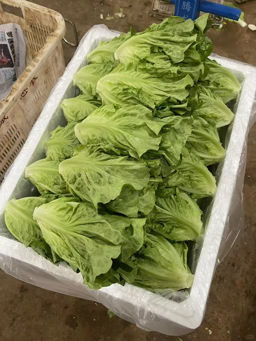 蔬菜批发 #食堂供应商 #同城配送 #餐饮供应