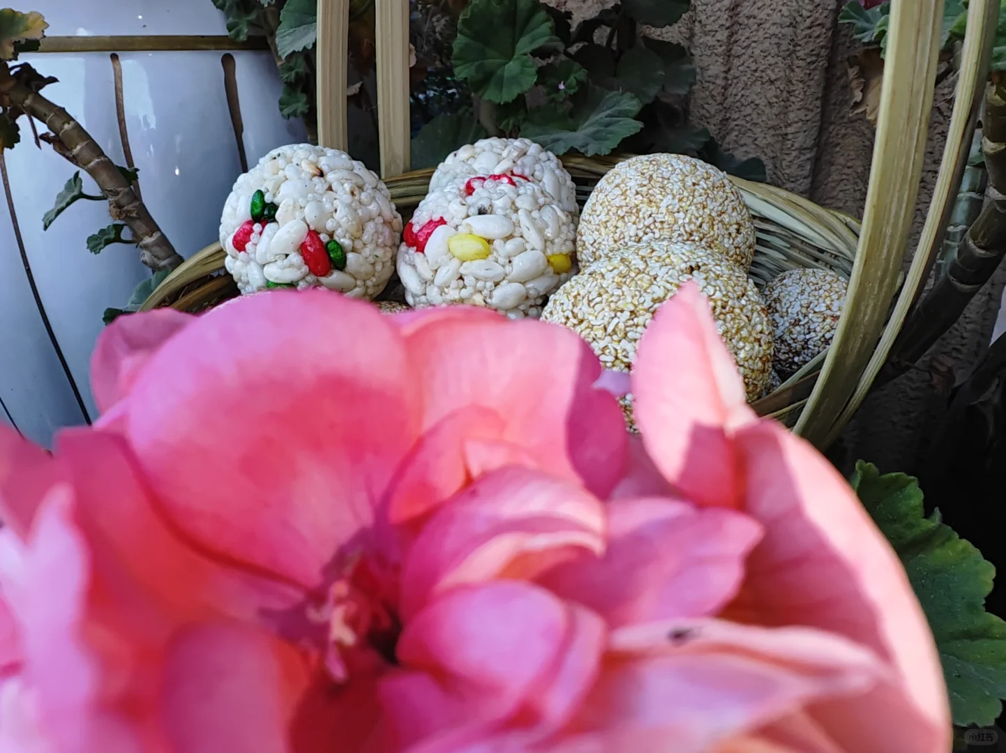 ?小时候的心心念念…小米花团和米花团。