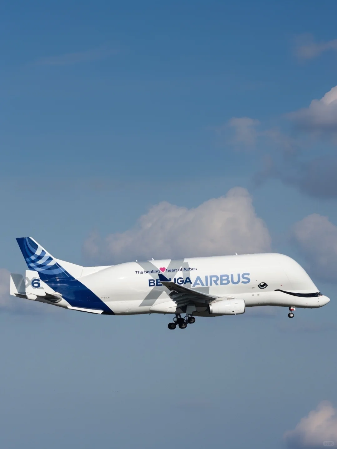 空客公司的6架超级“大白鲸”