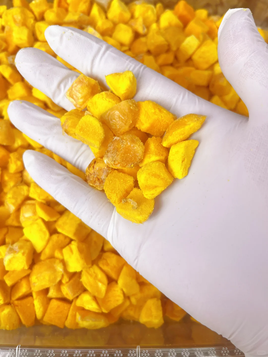 宠物冻干源头工厂，大量现货，有量有价～～