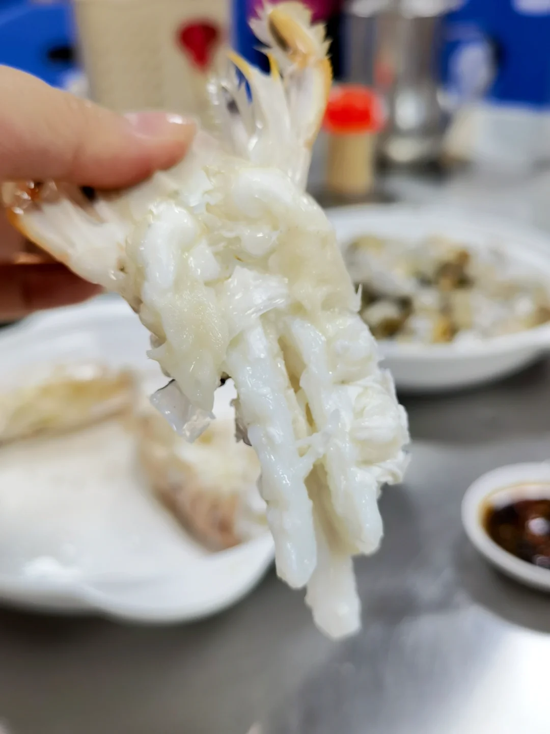 海陵岛海鲜攻略｜海鲜市场+餐馆一条龙