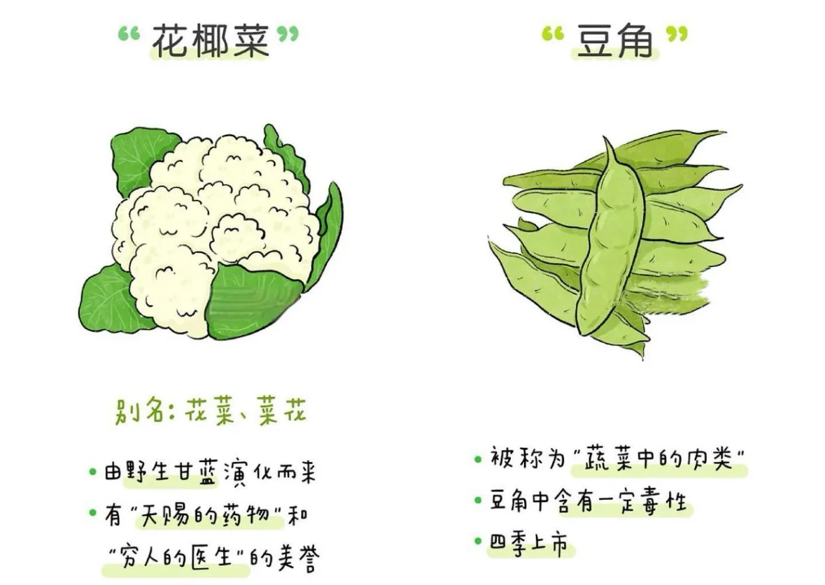 蔬菜小课堂：让孩子爱上吃菜的秘诀 ?