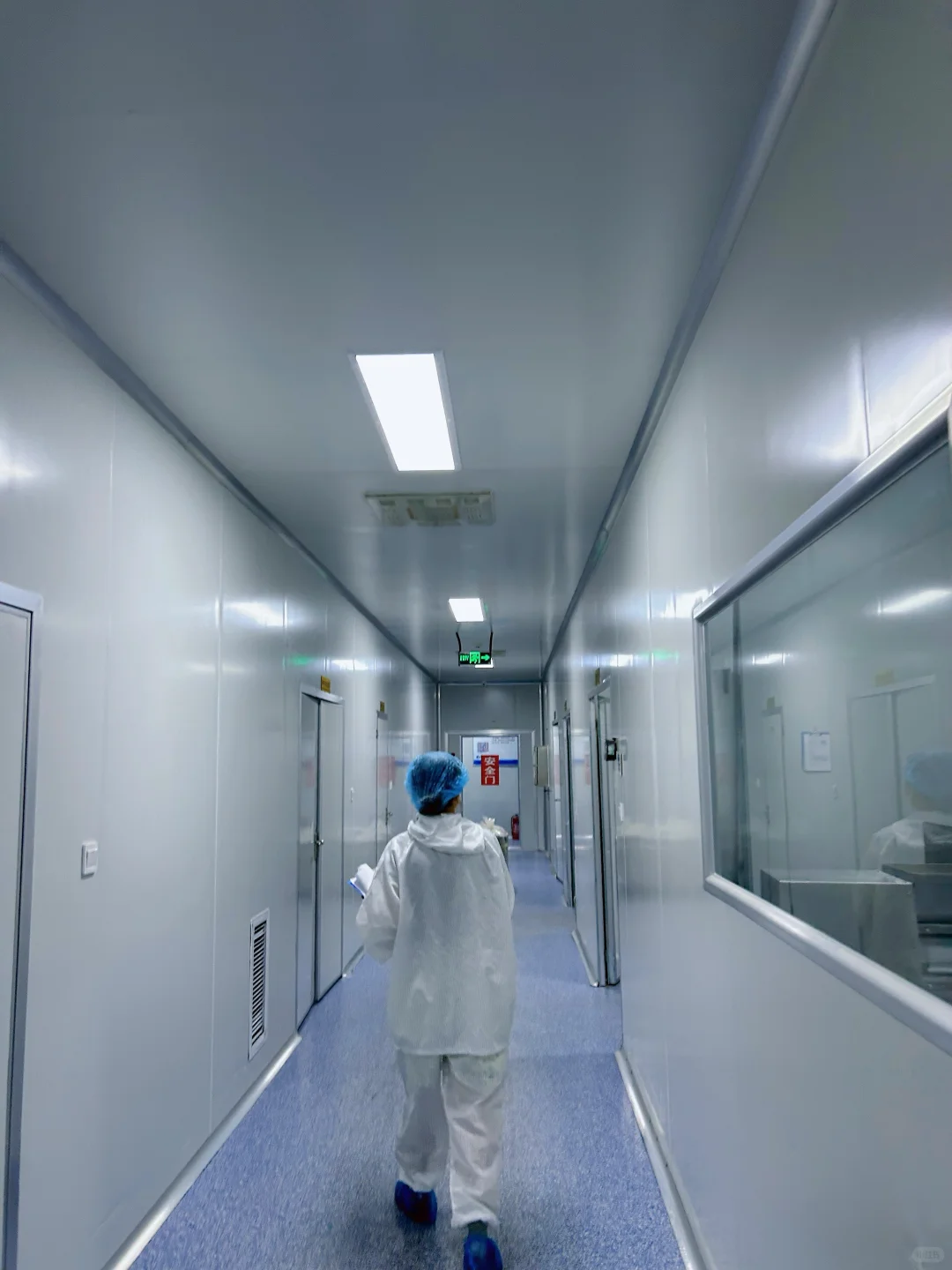 入职保健品加工厂第一天，老板带我开眼界?