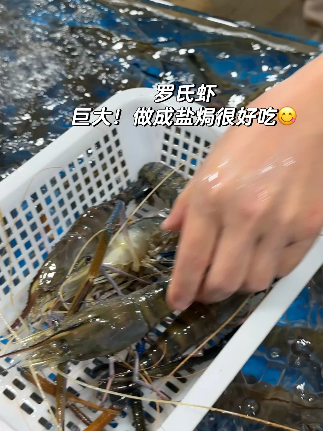 宁德新能源！居然藏着一个宝藏海鲜批发市场