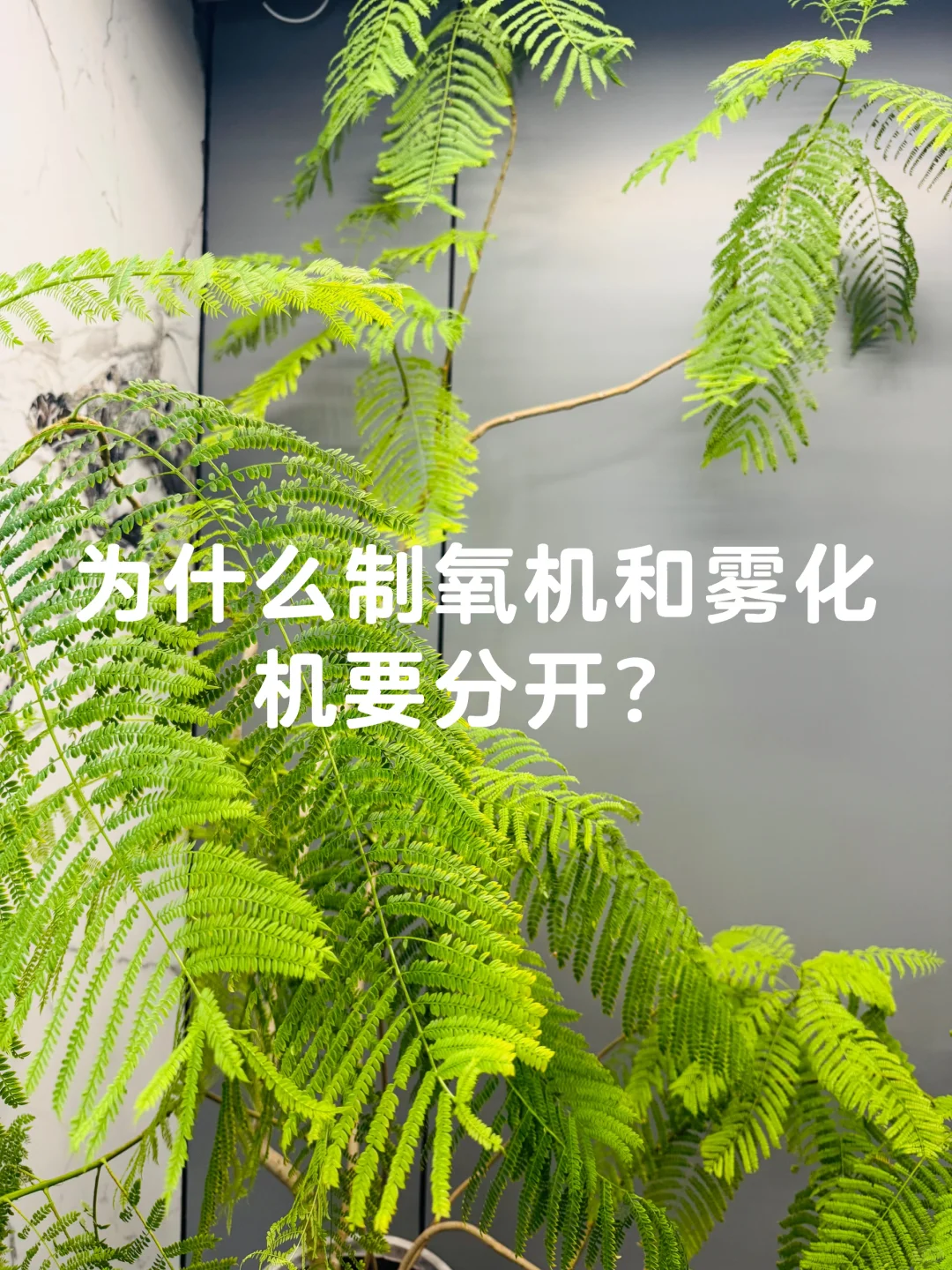 慢阻肺家庭氧疗&雾化 千万不能混机器