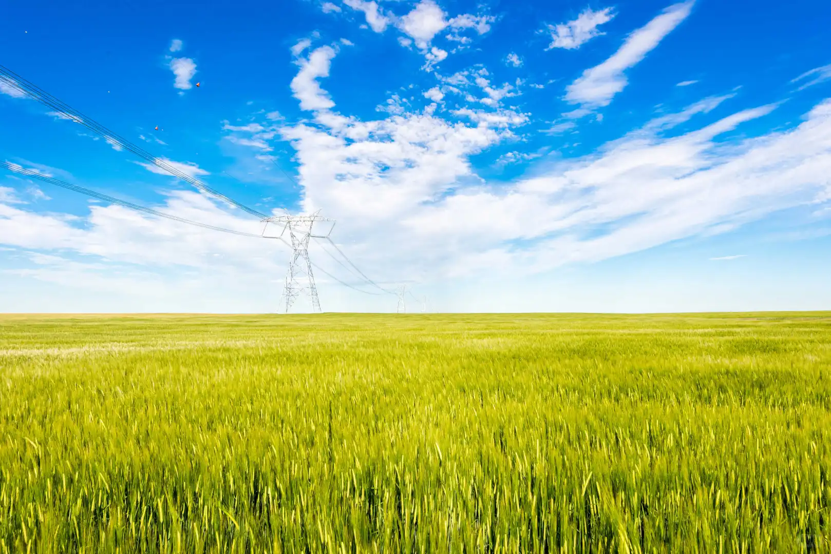 用电成本高,企业如何降低用电成本?