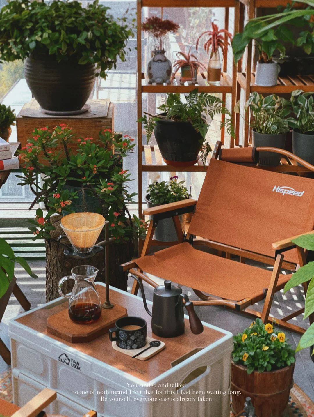 我的2023阳台小森林布置18图｜供参考