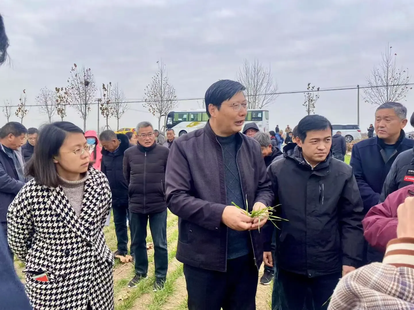 #科技助农[话题]# ?绿农天®辰麦1号