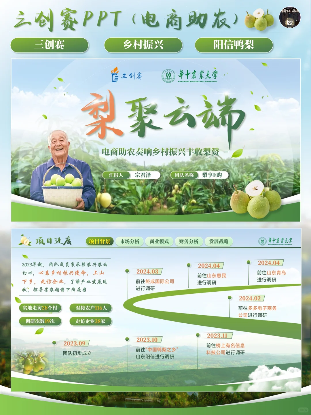 ✨️三创赛丨电商助力农业发展PPT