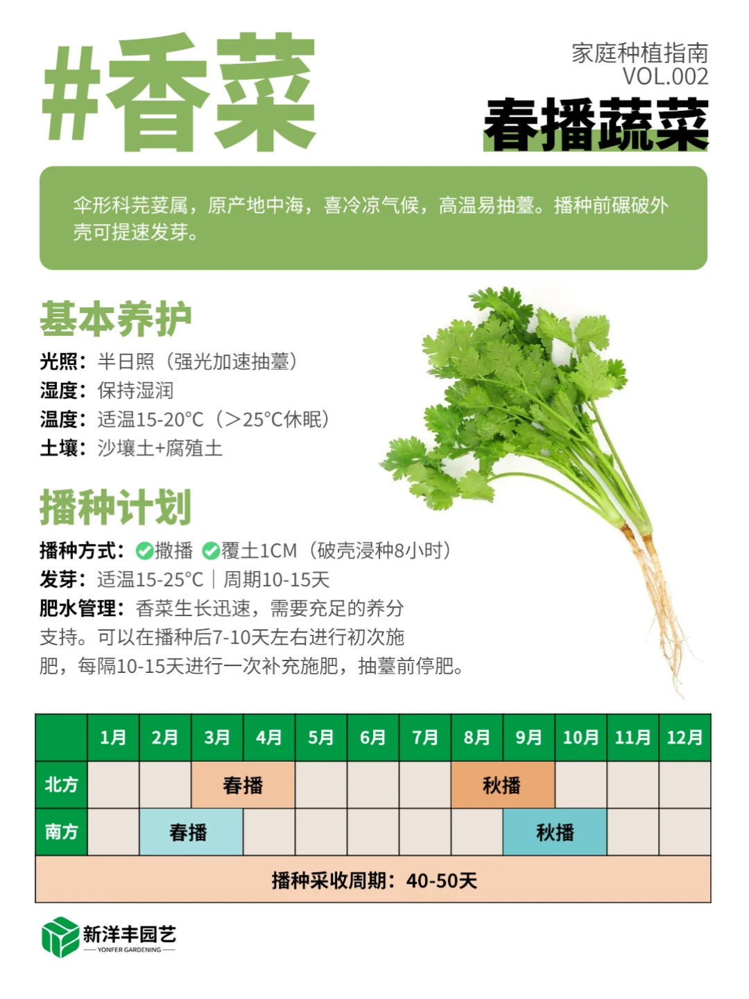 种菜新手看这个！春天种这些更容易成功