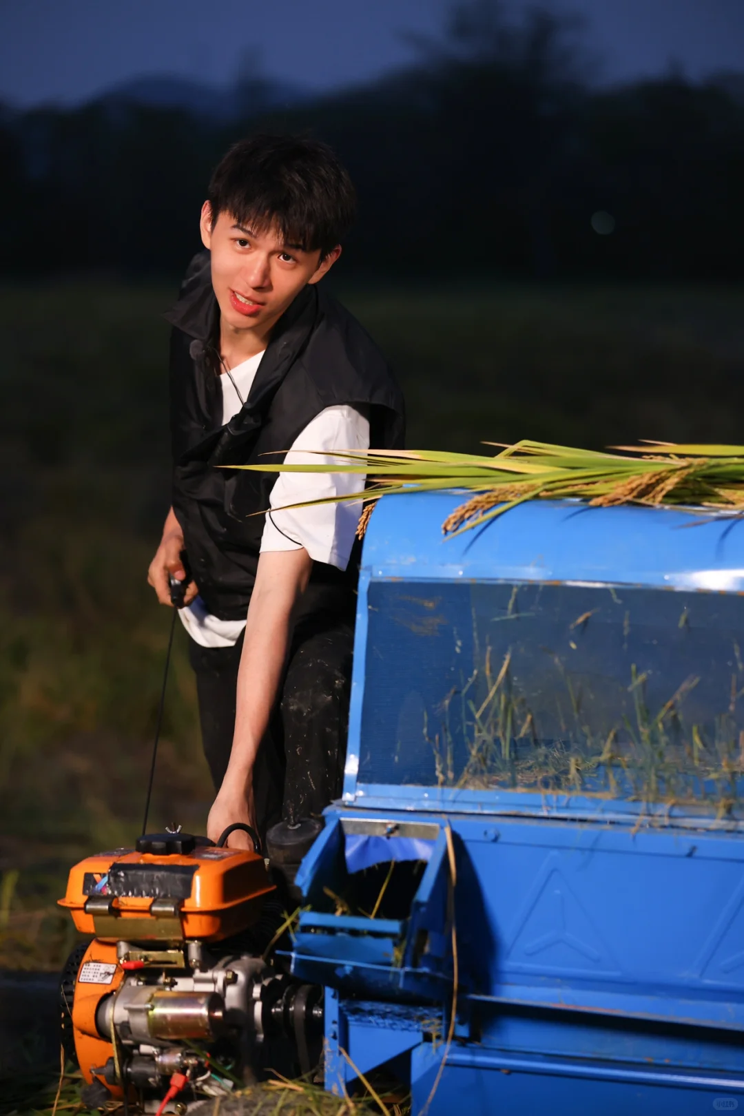 小何种地日记 第二弹