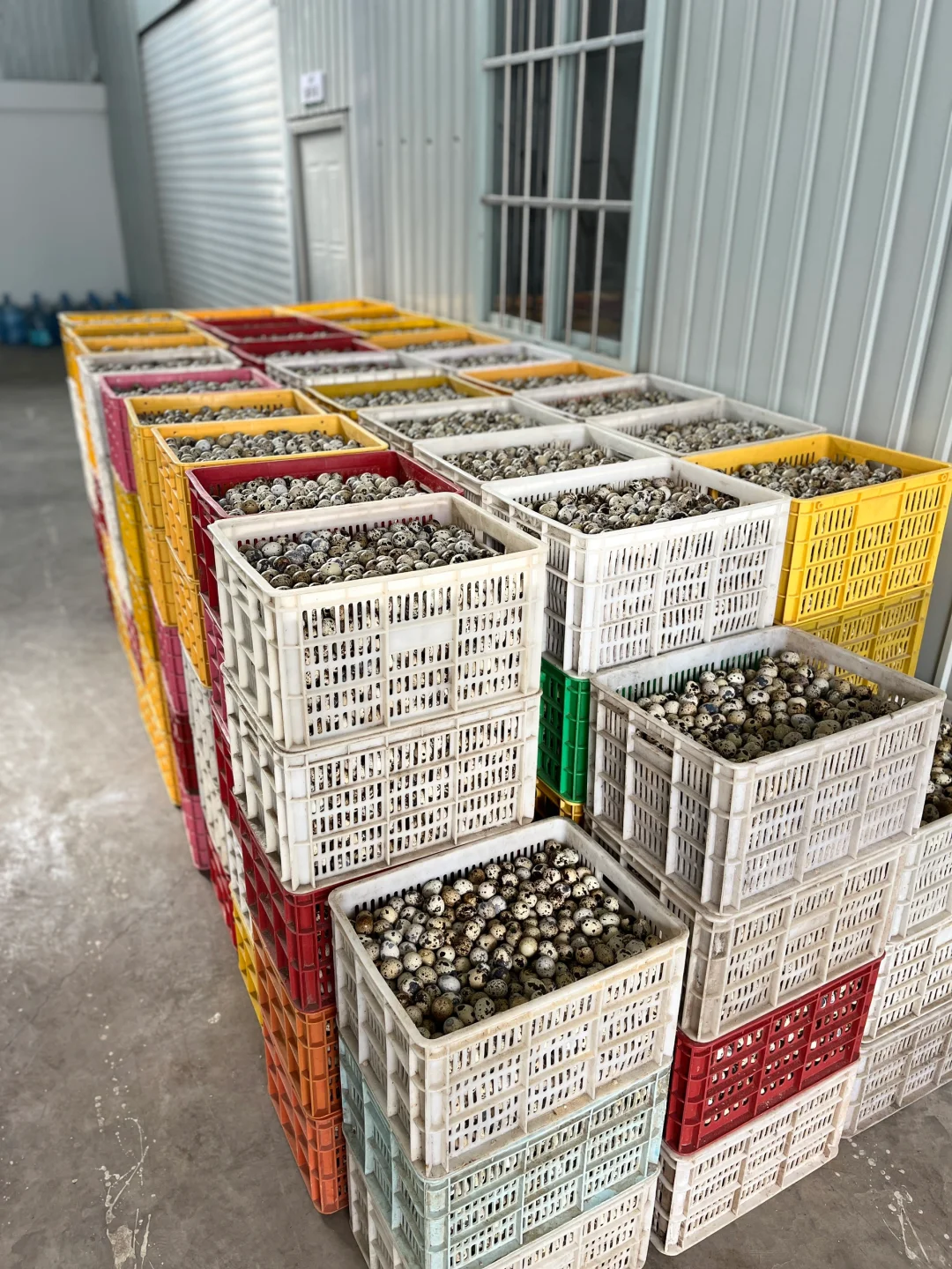 BUCM清真厂二代开始营业！