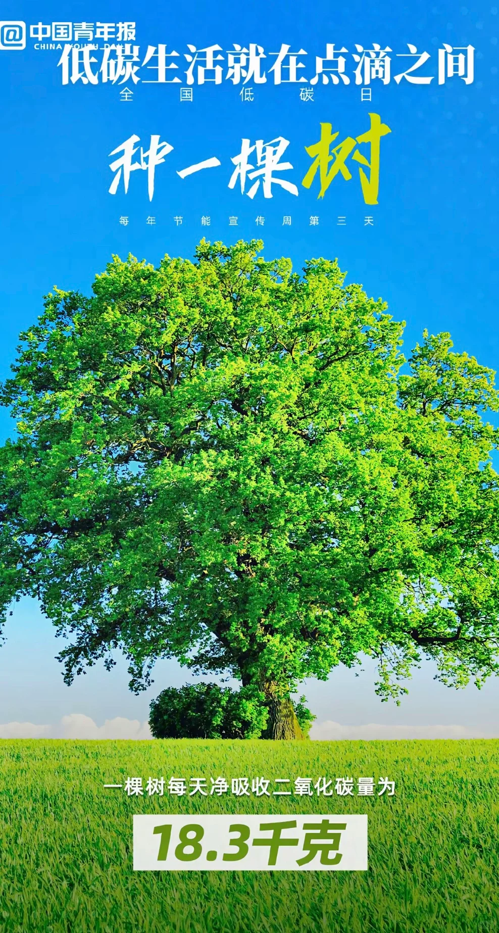 第一期：节能减排