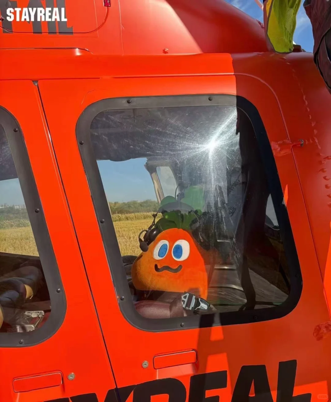 总裁的爹 顶流的儿 贫穷的妈?