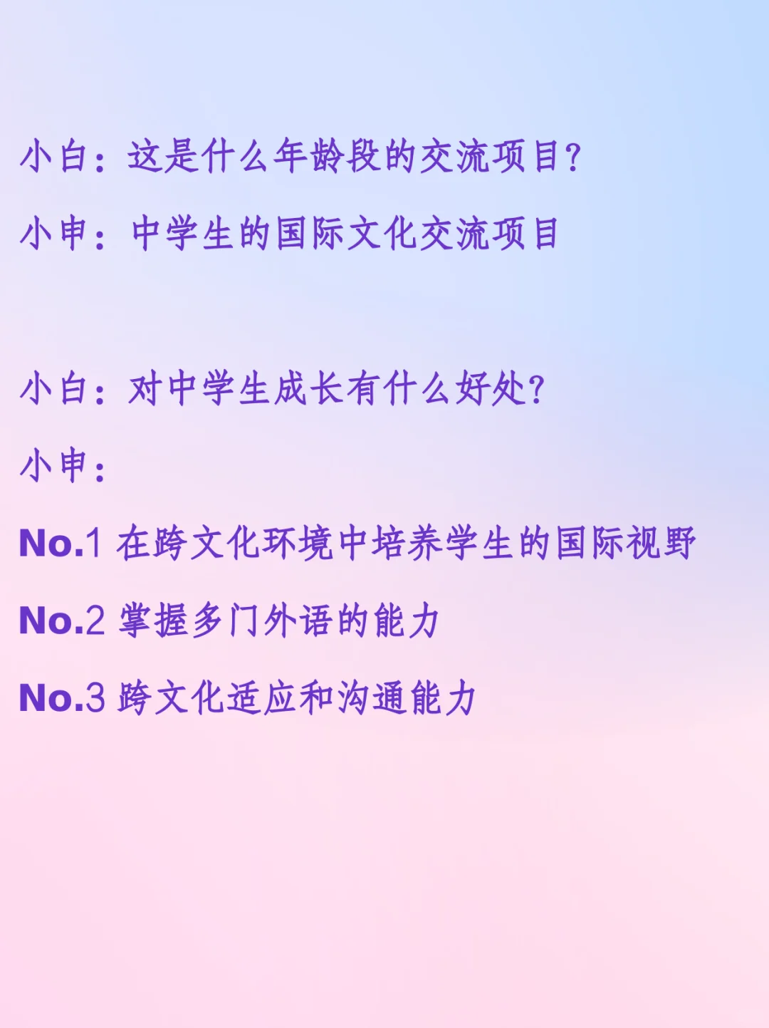 今天是个好日子-中学生国际文化交流项目