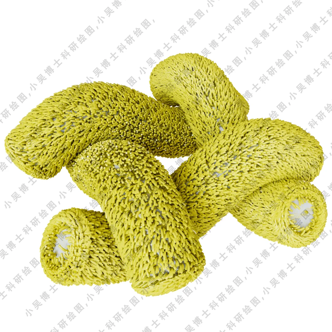 休整一个月，正式回归！