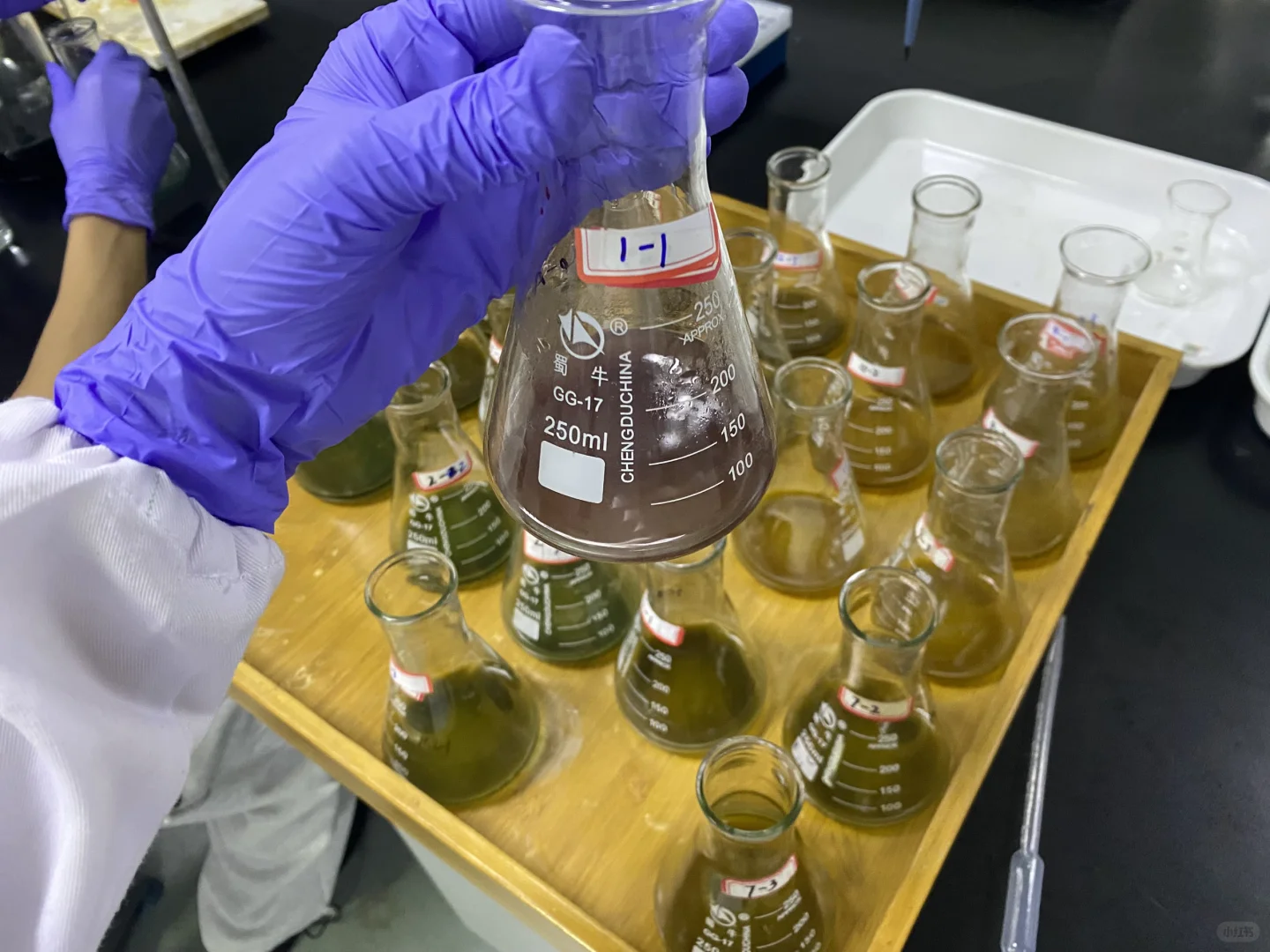 土壤八项检测（有机质篇·需预实验）