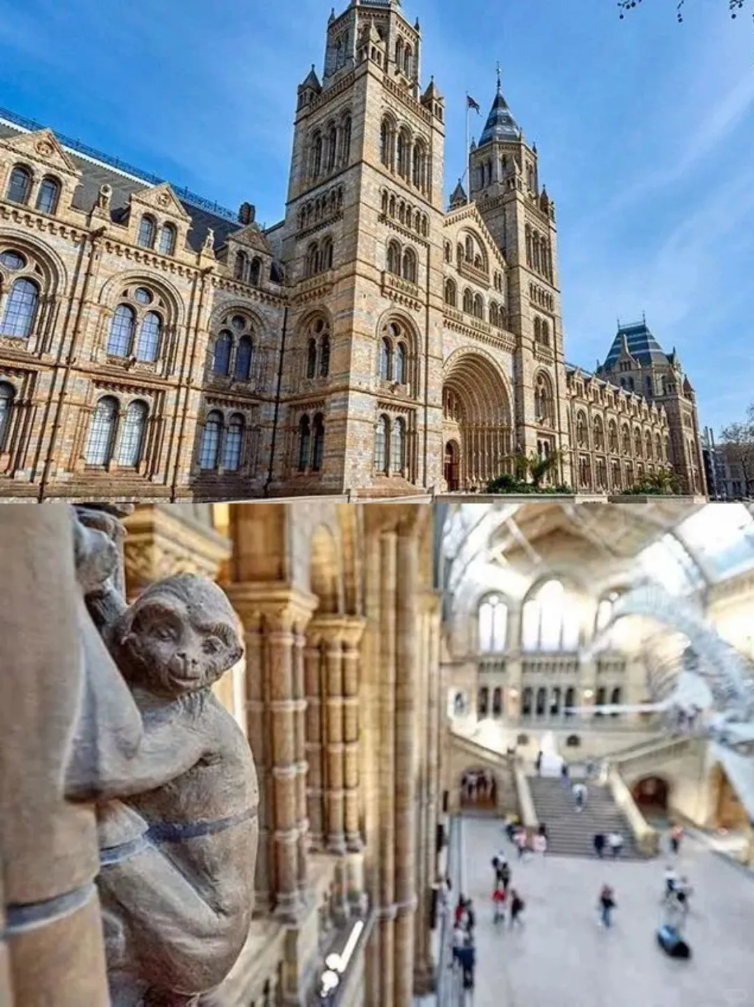 超火爆‼️英国奇趣亲子12日冬季版来了✅