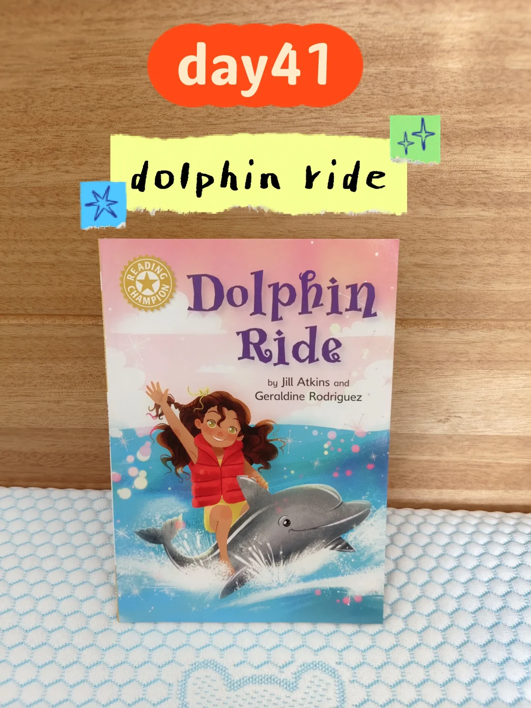 dolphin ride