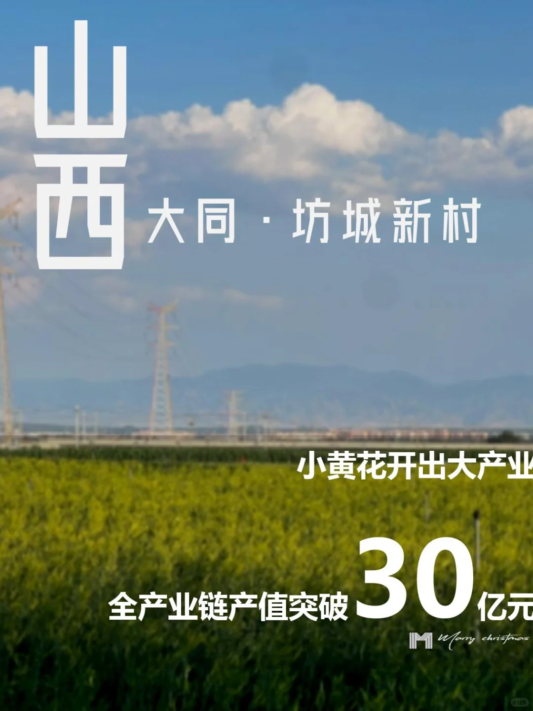 乡村振兴｜小黄花开出大产业