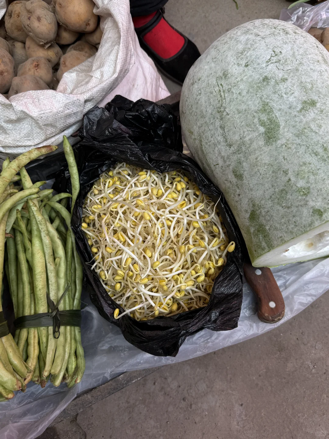 “靠山吃山：大山里这个季节吃啥…..”