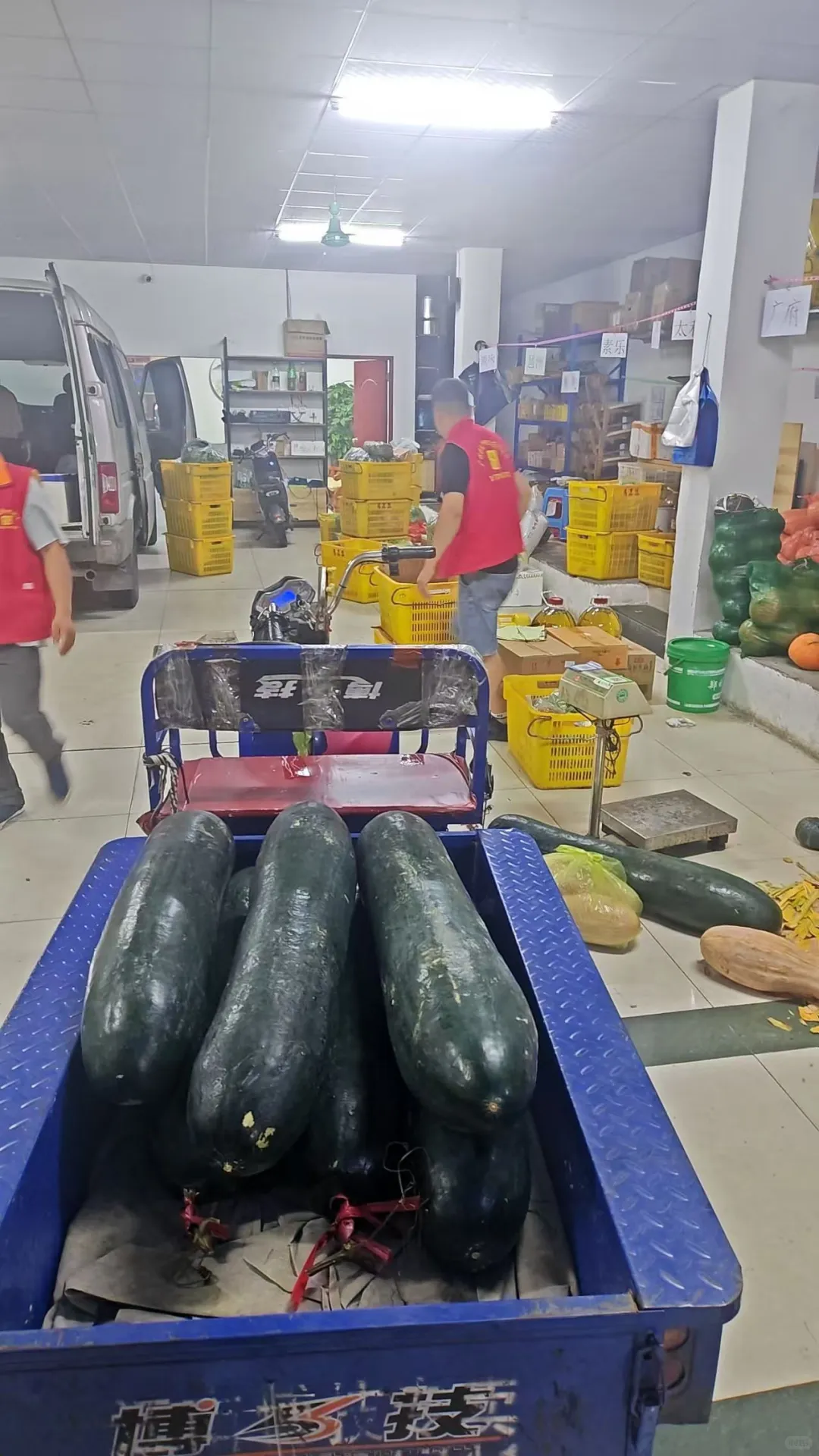 广州全品类食材配送
