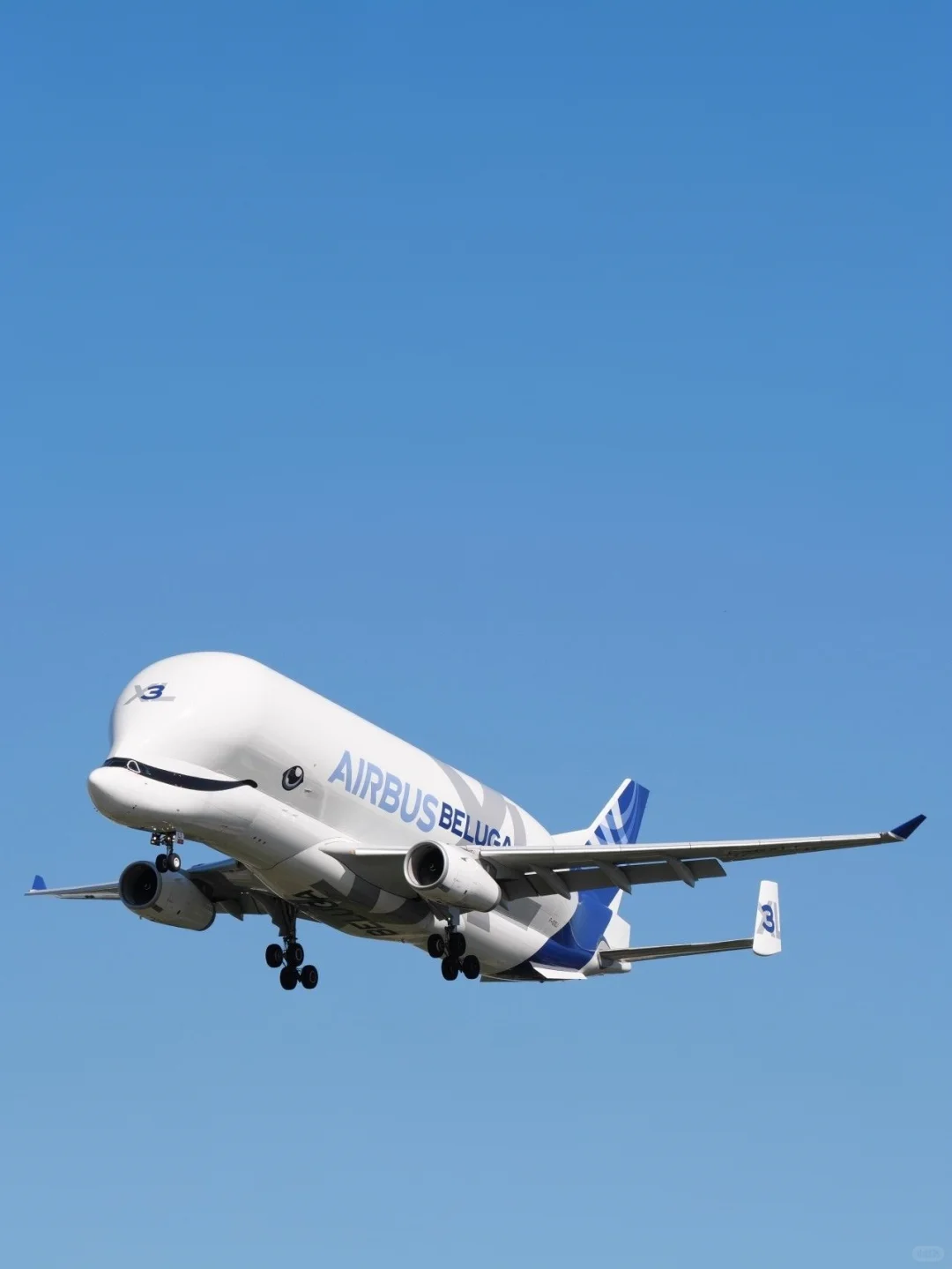 空客公司的6架超级“大白鲸”