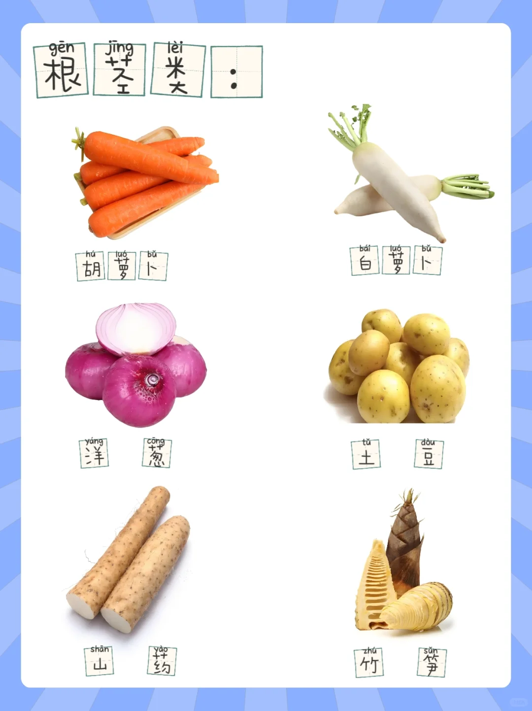 幼儿知识科普之认识蔬菜（含拼音）