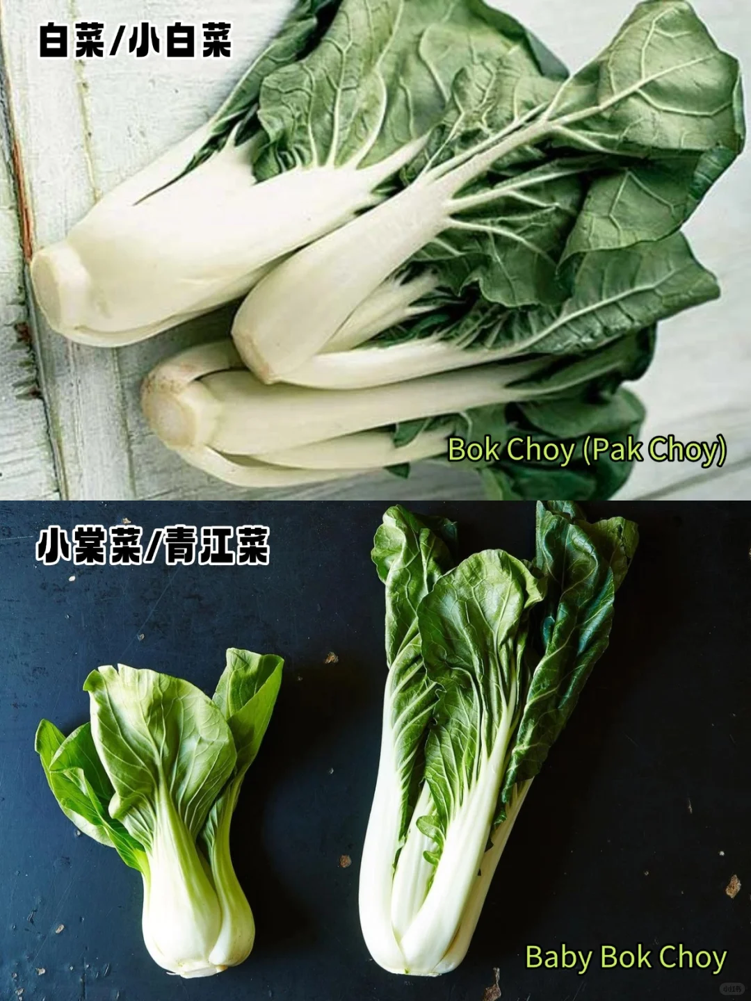 加拿大常见蔬菜中英文对照?叶菜篇