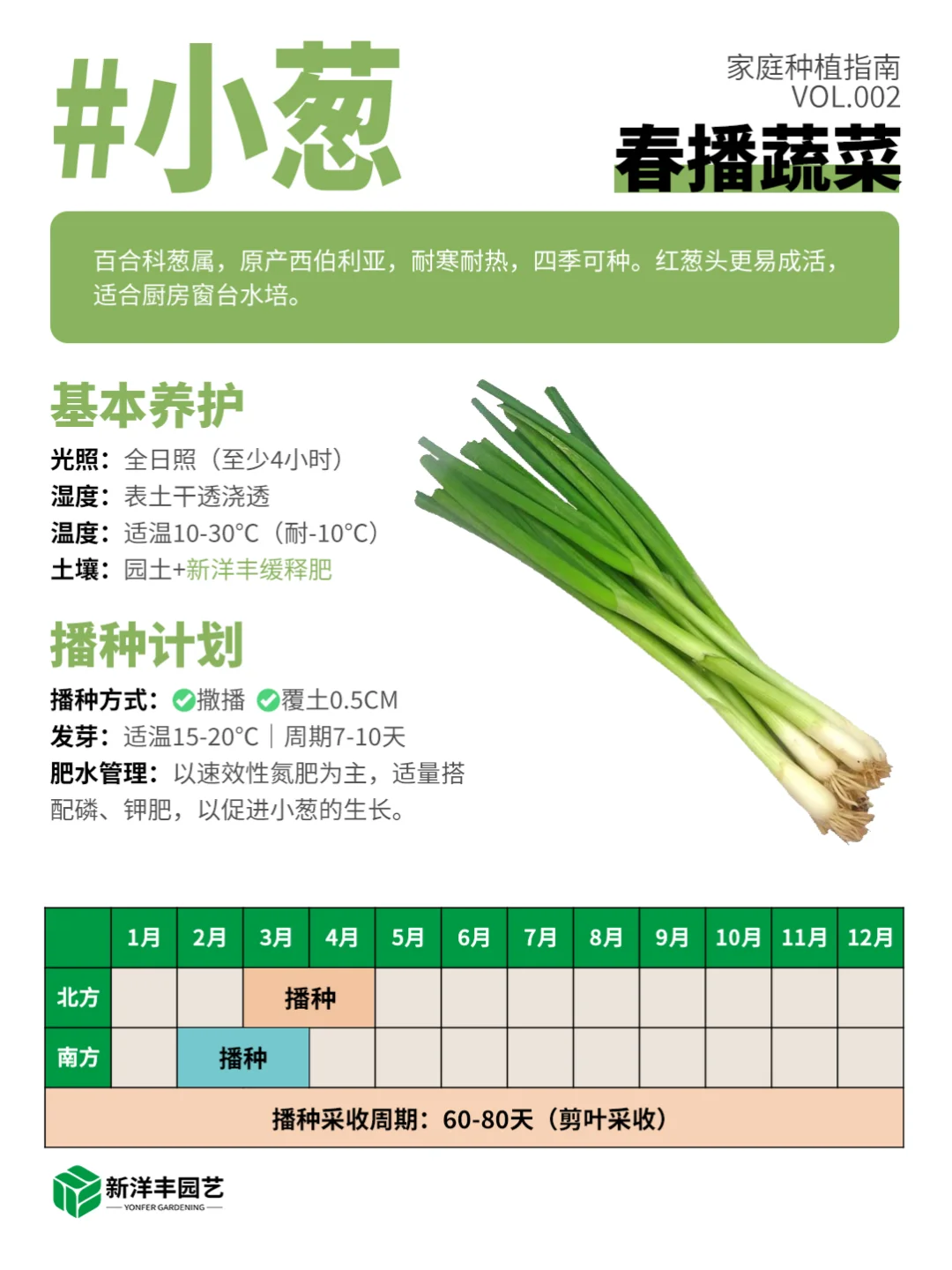 种菜新手看这个！春天种这些更容易成功