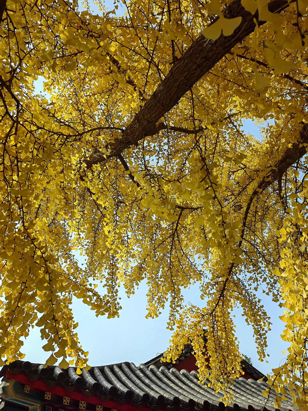 ? ｜一分钟搞定奥迪车钥匙断电，赴深秋