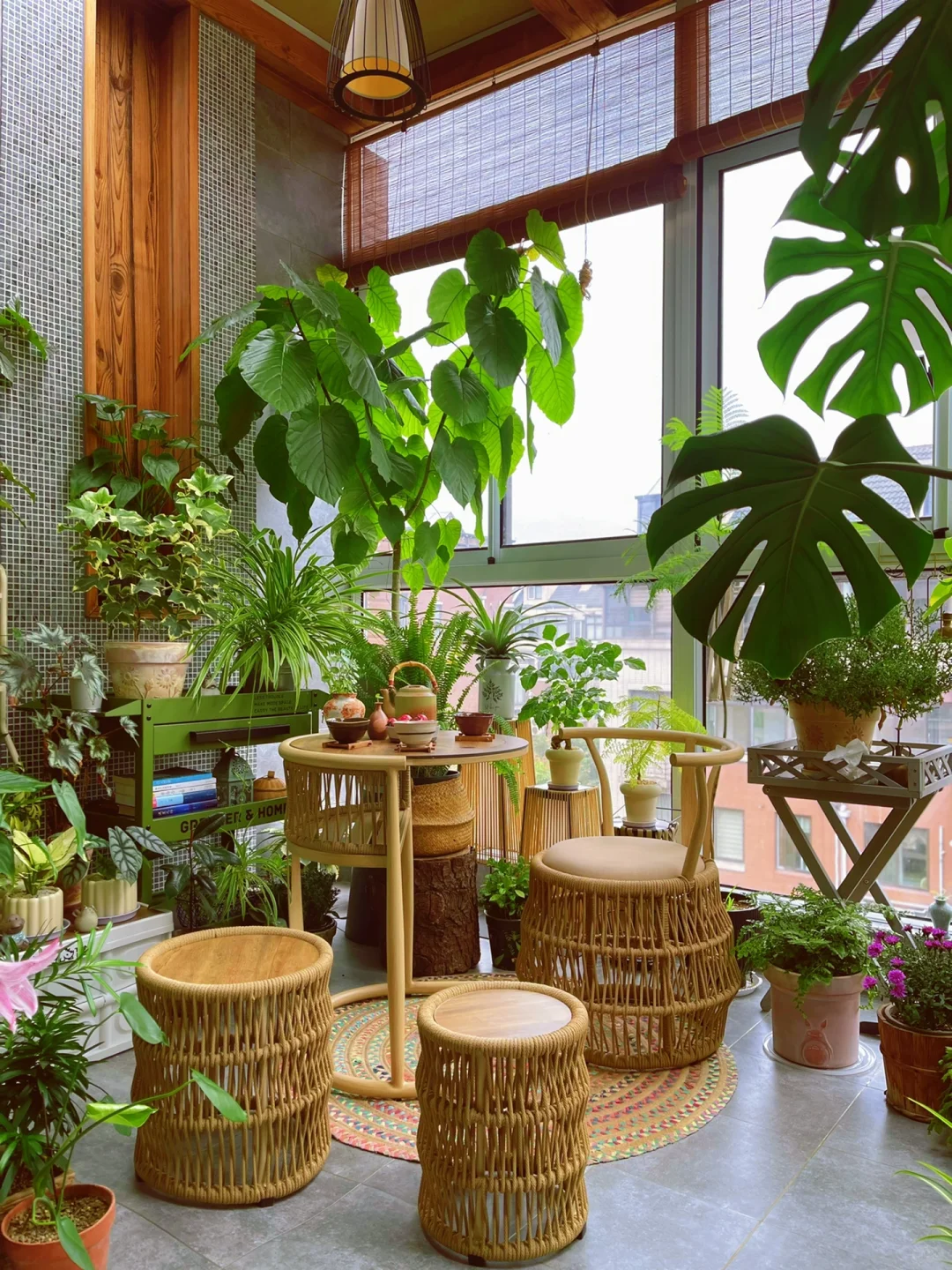 我的2023阳台小森林布置18图｜供参考