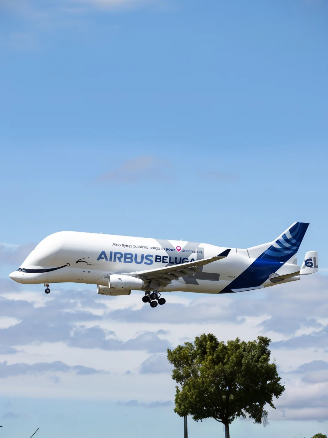 空客公司的6架超级“大白鲸”