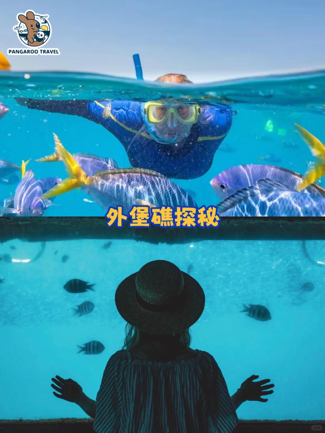 ✈️圣灵群岛观光机/直升机/水上飞机怎么选