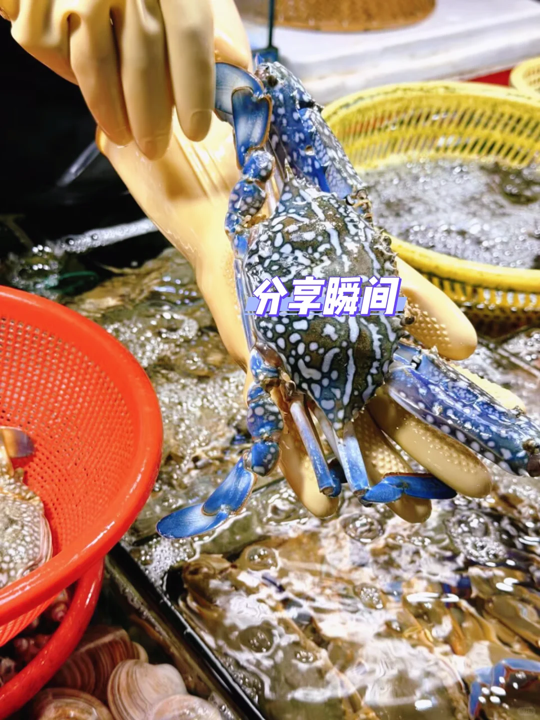 三亚海鲜参考指南 -小店新鲜又划算！?