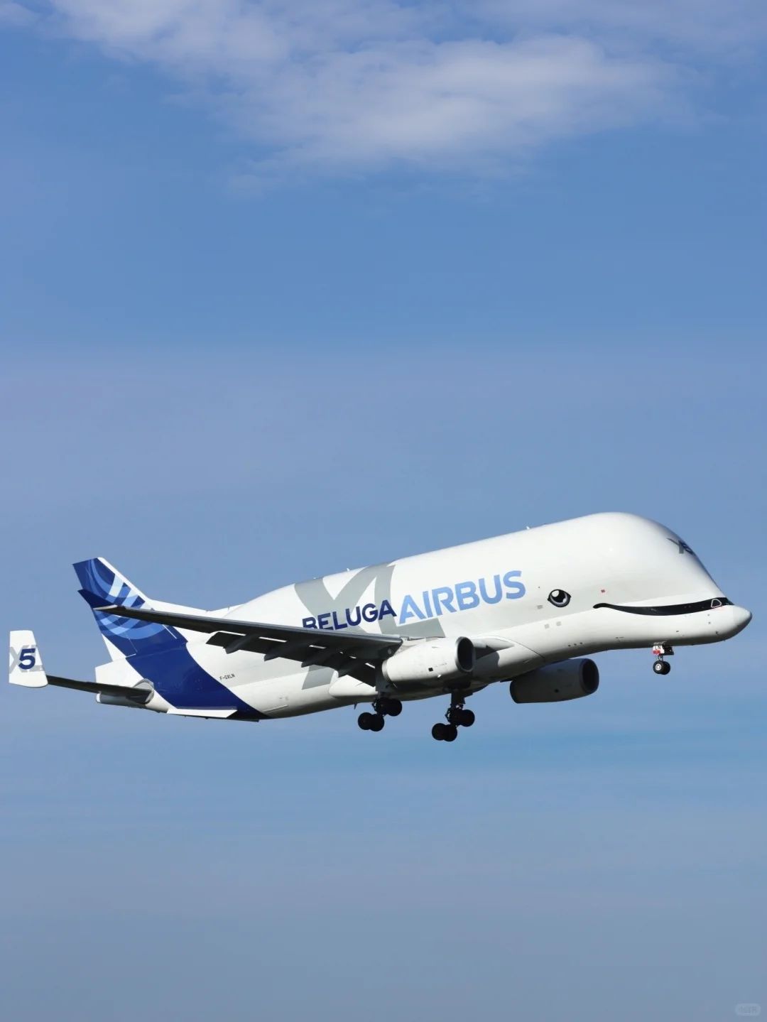 空客公司的6架超级“大白鲸”