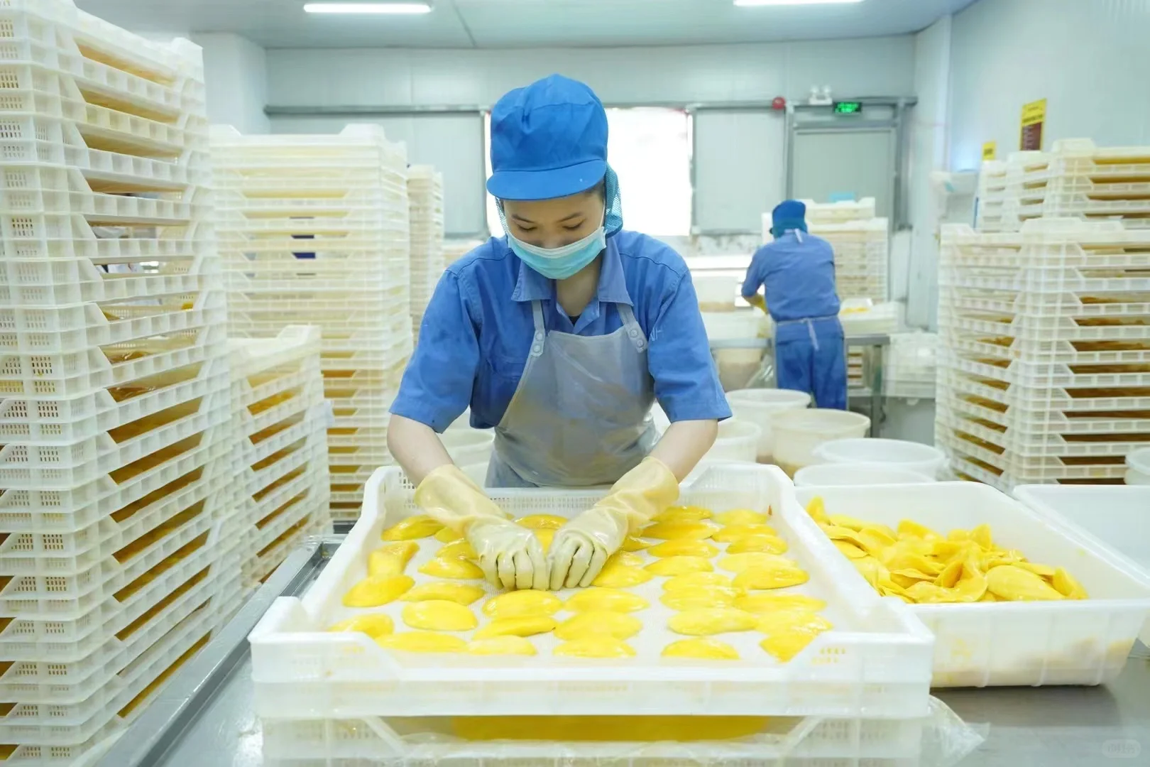 越南芒果干工厂 寻找中国的经销商