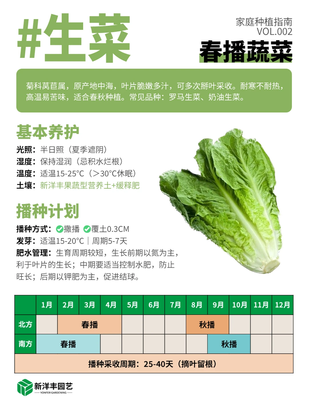 种菜新手看这个！春天种这些更容易成功