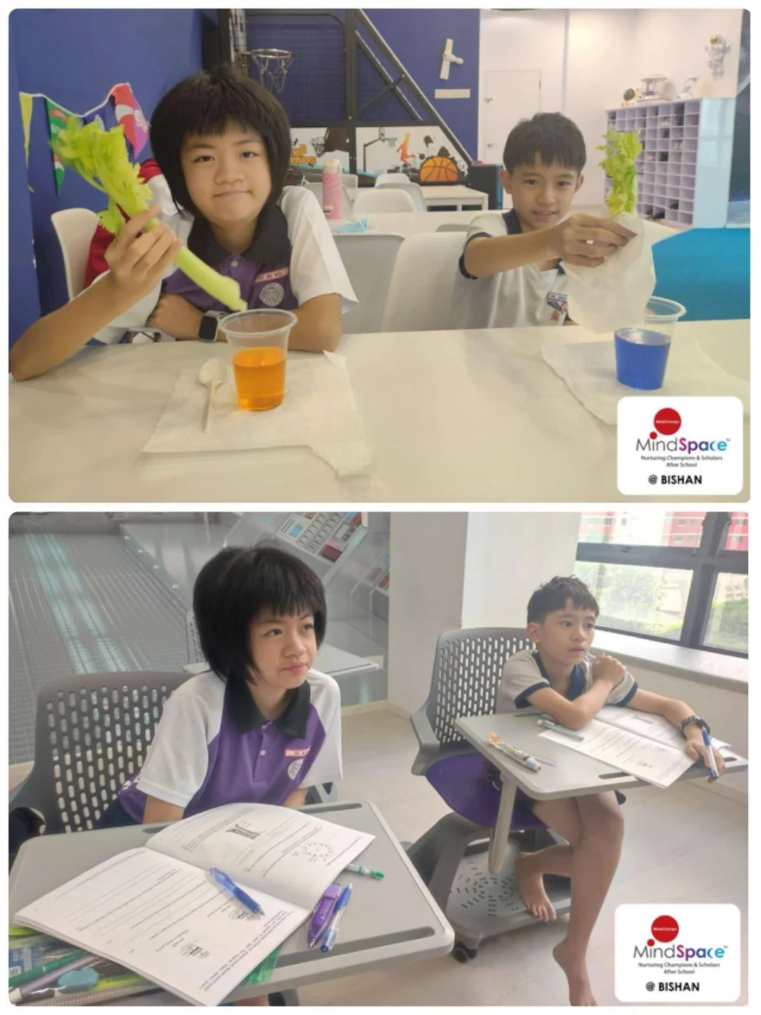 走进MindSpace的课堂