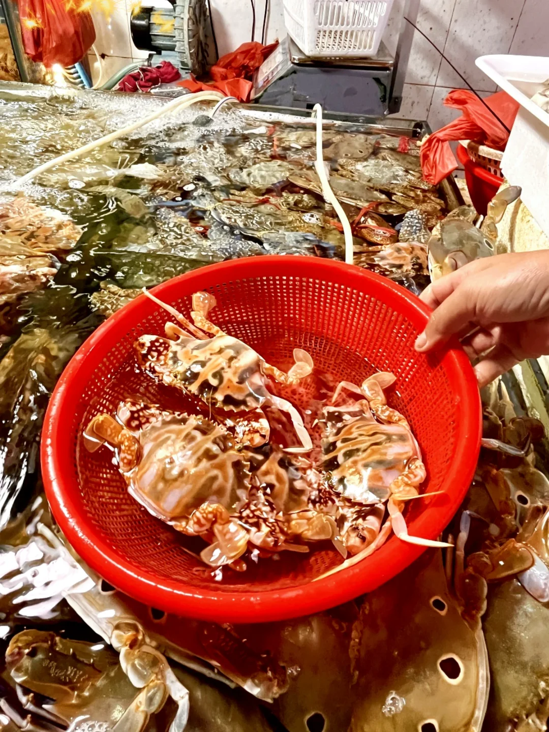 挖到三亚海鲜天花板丨现买现加工，放心冲✌