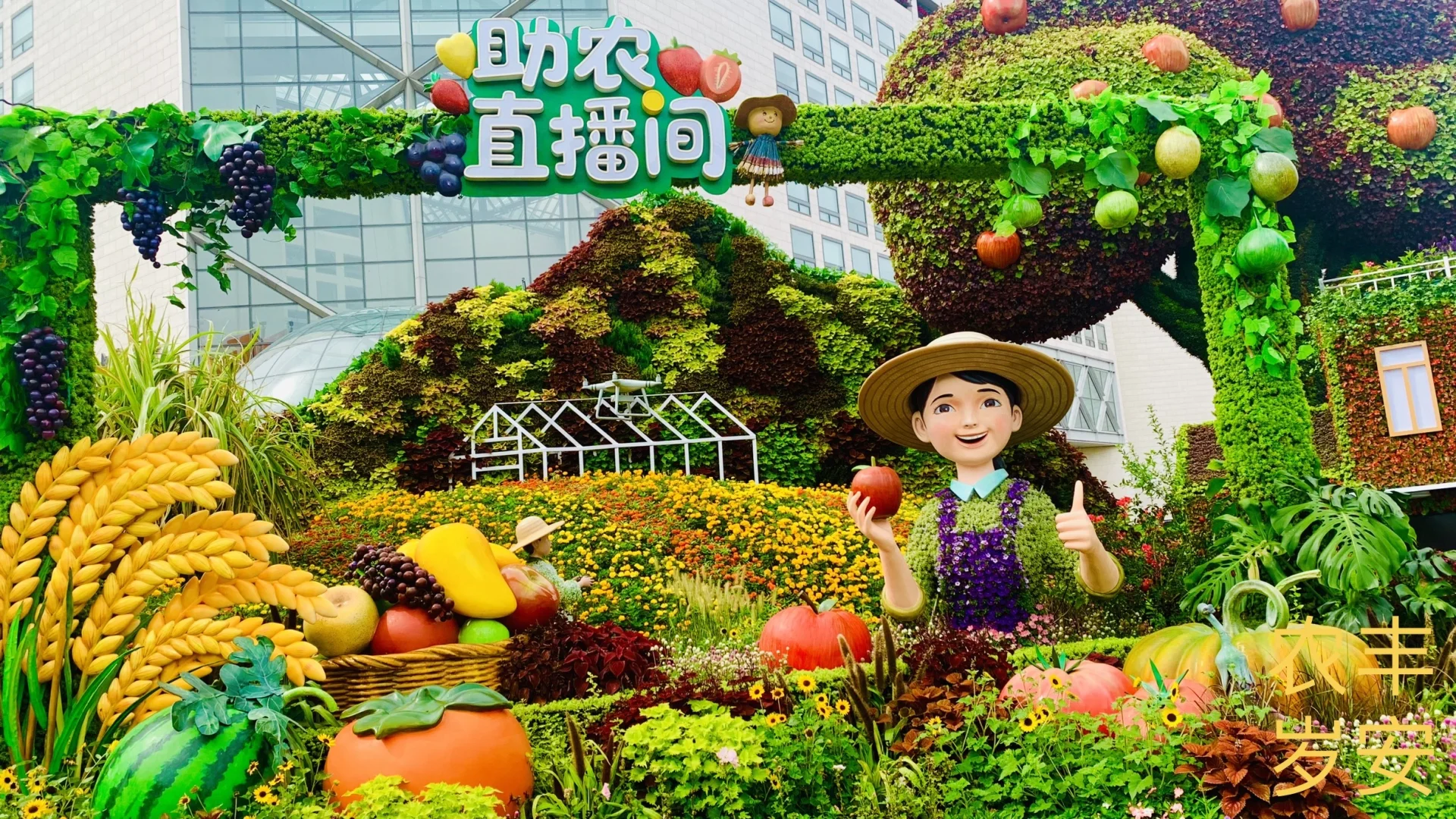 长安街上的助农直播间