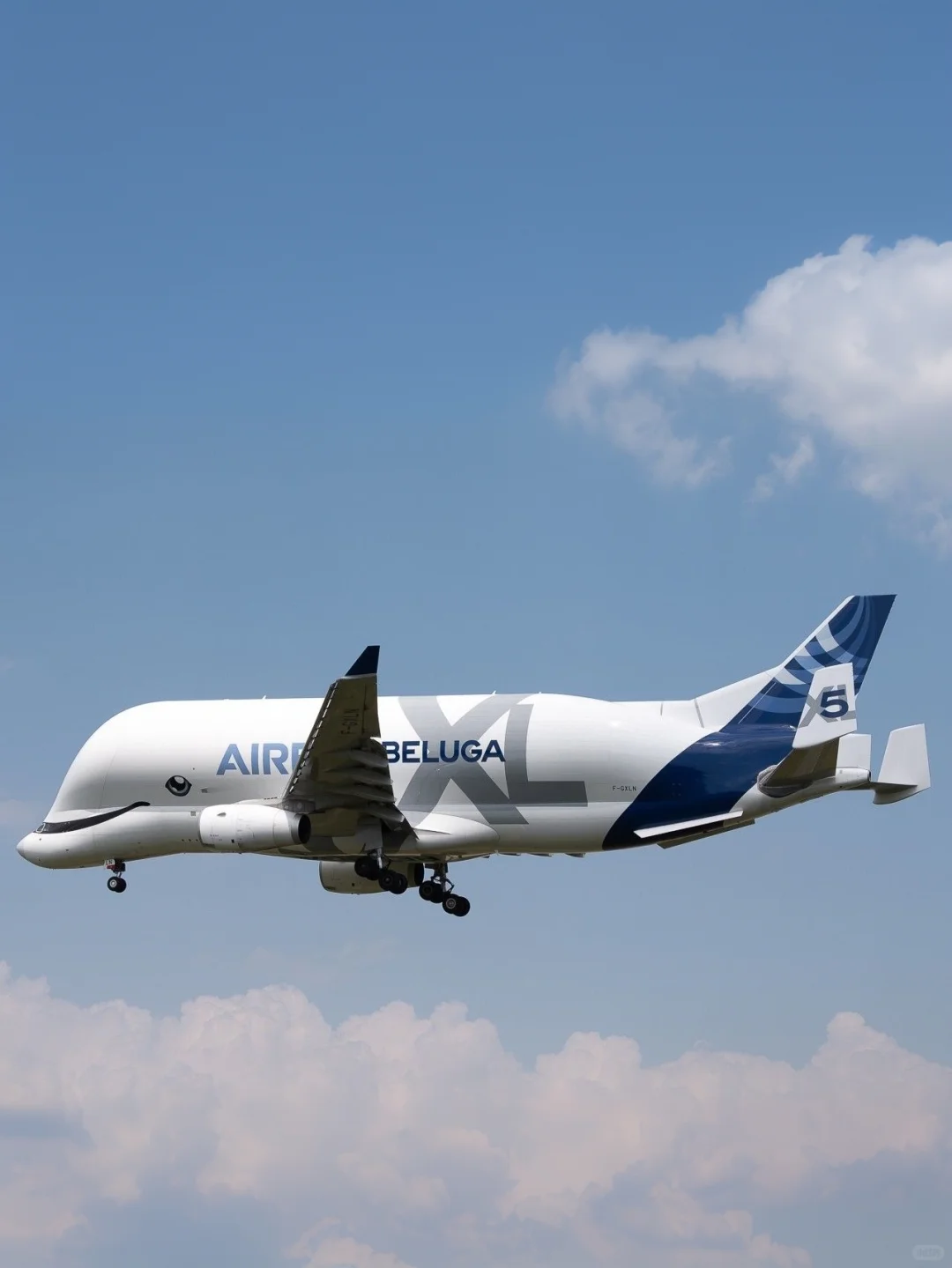 空客公司的6架超级“大白鲸”