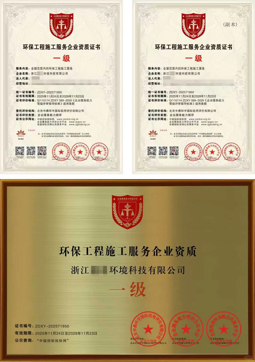 新生态系统✅✅✅