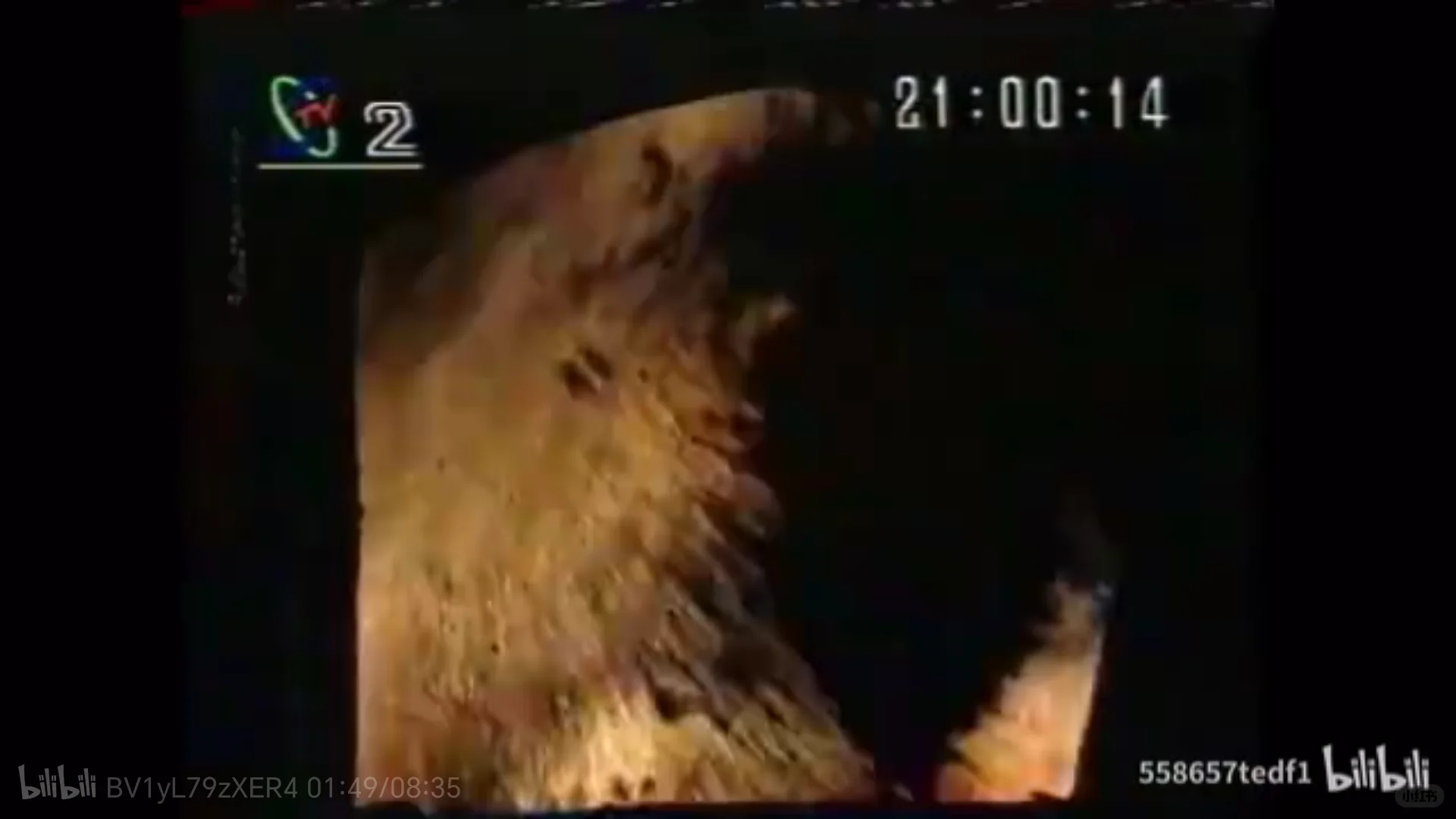 做个节能的中国人,还要保护环境。