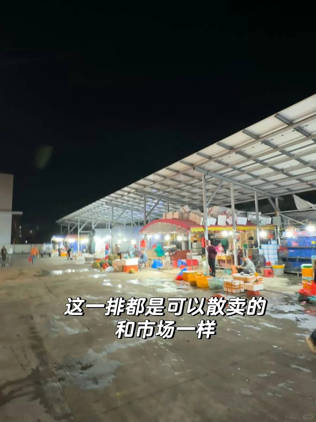 宁德新能源！居然藏着一个宝藏海鲜批发市场