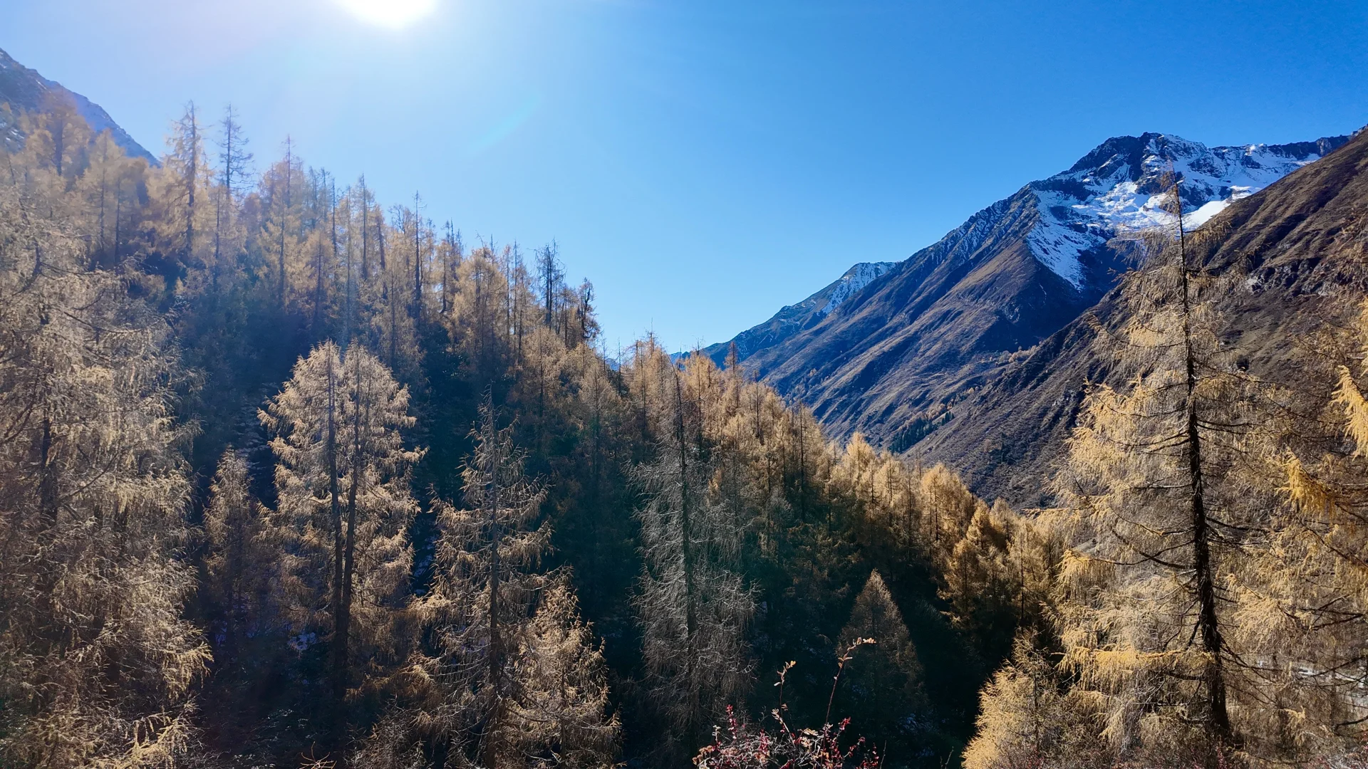 11.11大二普三海子徒步！彩林与雪山交汇