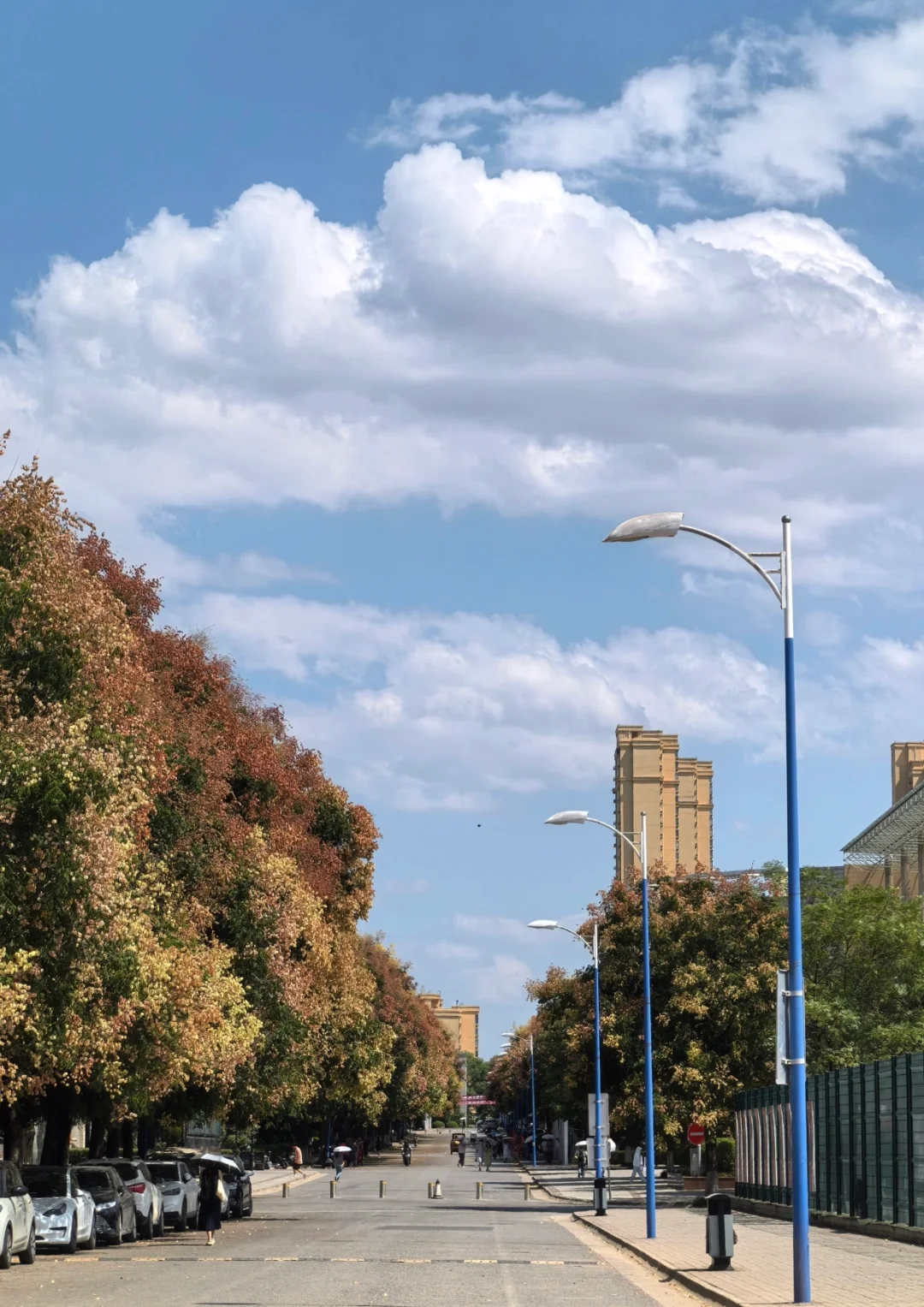 早八人的痛苦？不存在的！西外上课像逛景区