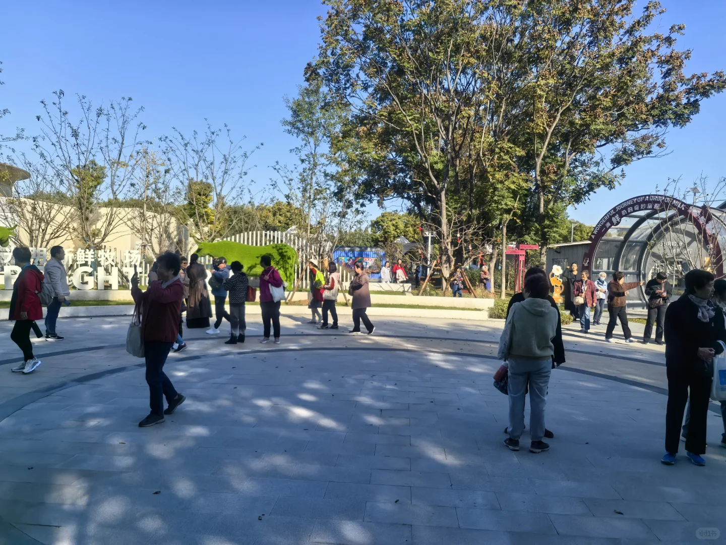 又是元气满满的一天?