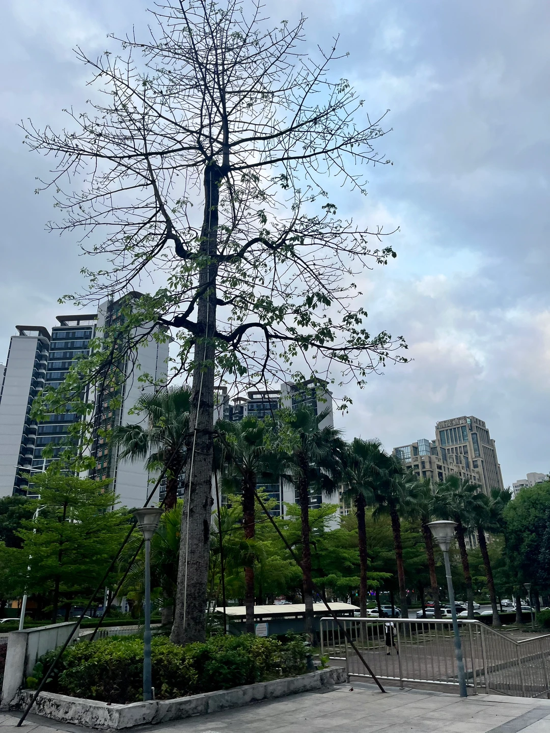 今天去图书馆学习了，心情舒畅了